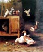 unknow artist Duck and Pigeon oil painting on canvas